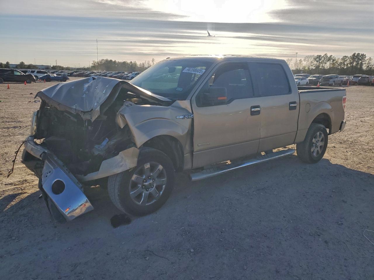 2014 FORD F-150 Lightning