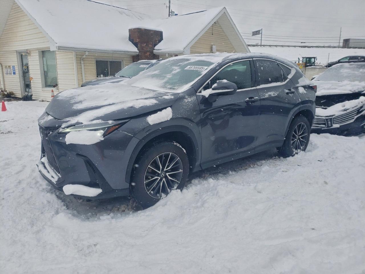 2024 LEXUS NX 350