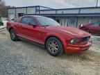 2008 FORD MUSTANG