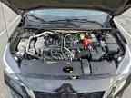 2023 NISSAN SENTRA