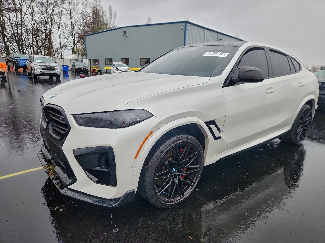 2024 BMW X6