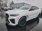 2024 BMW X6
