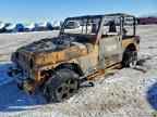 2001 JEEP WRANGLER