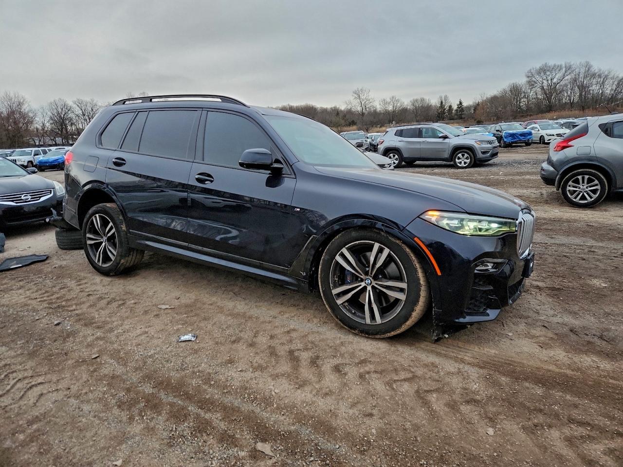 2019 BMW X7