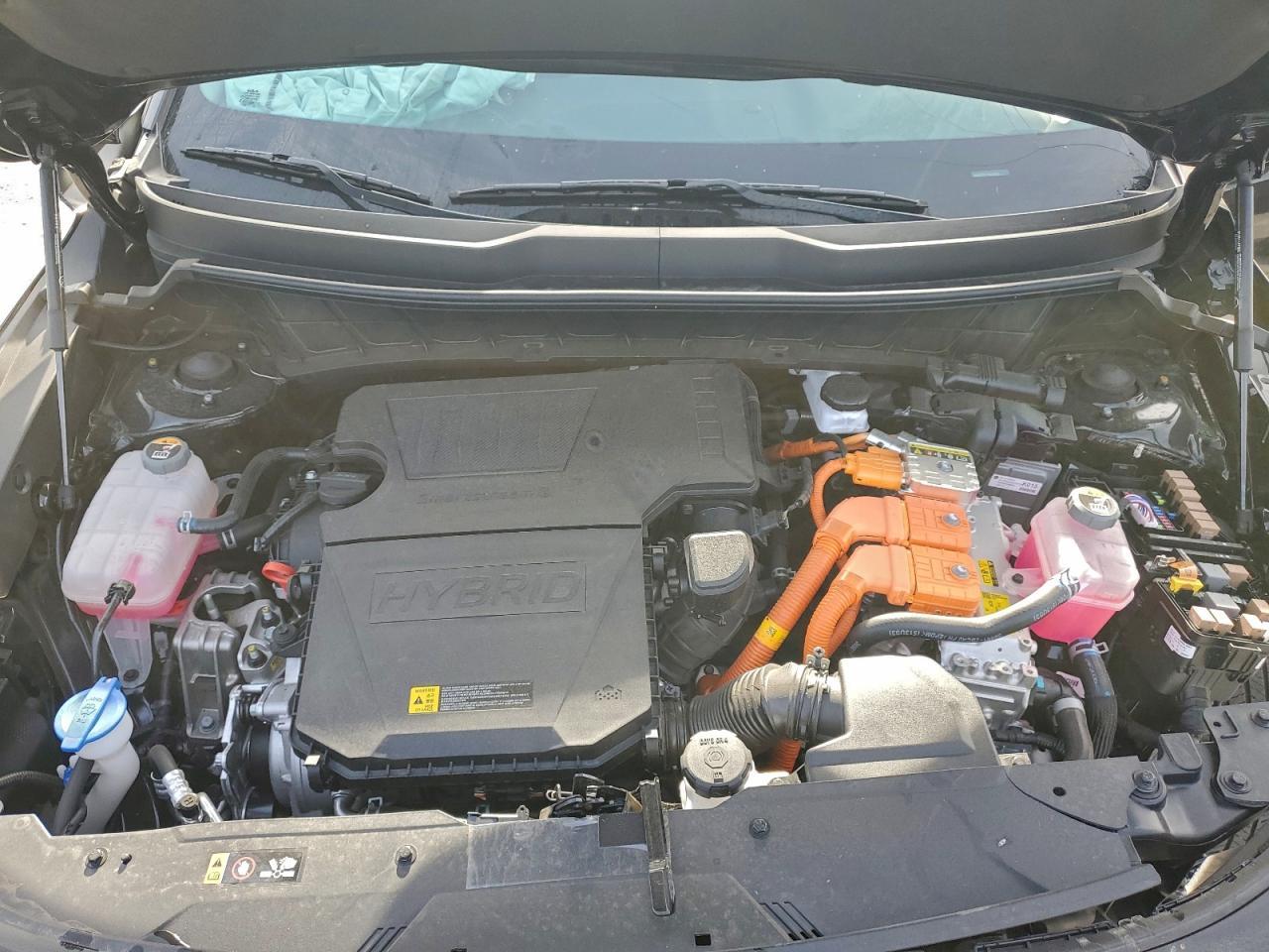 2025 KIA Niro