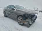 2024 BMW X6