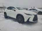 2024 LEXUS NX 250