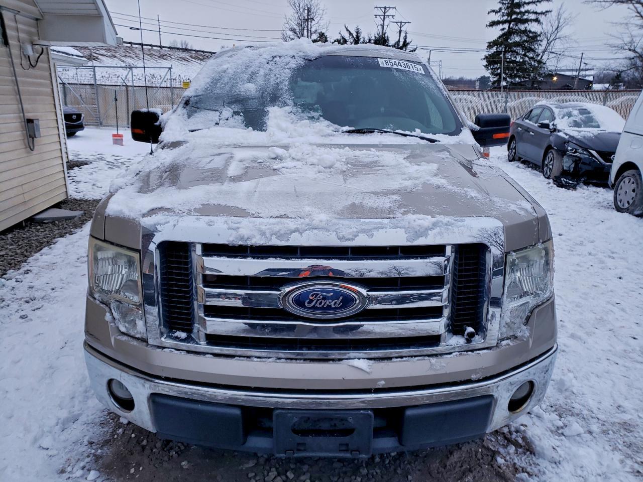 2010 FORD F-150