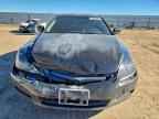 2005 HONDA ACCORD