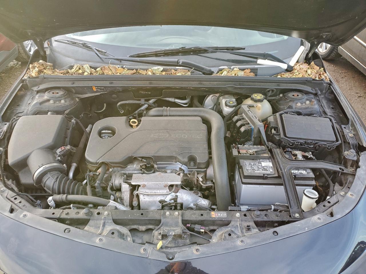 2017 CHEVROLET MALIBU