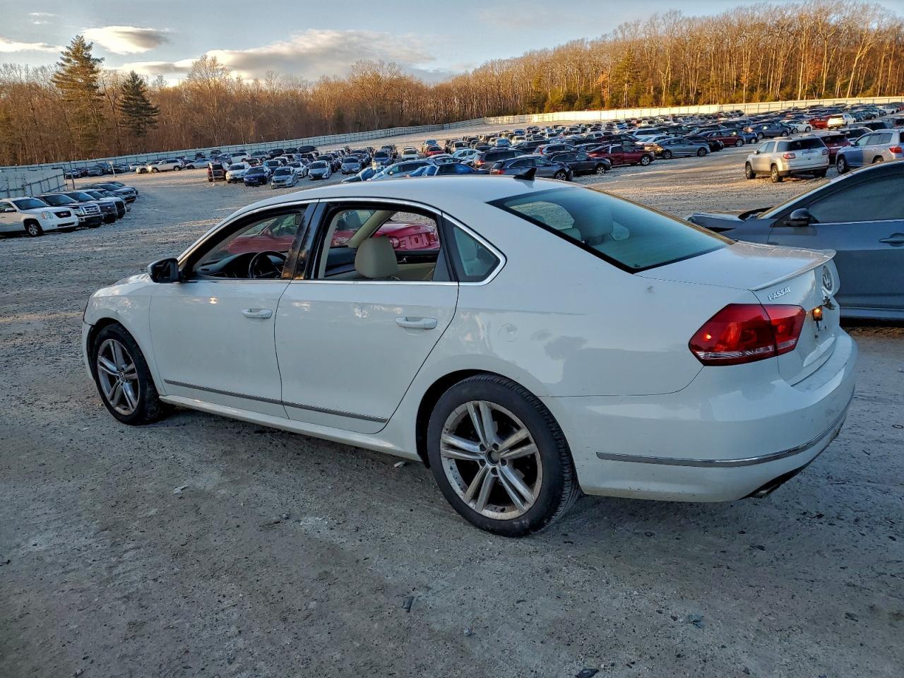 2013 VOLKSWAGEN Passat