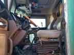 2013 PETERBILT 389