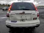 2010 HONDA CR-V