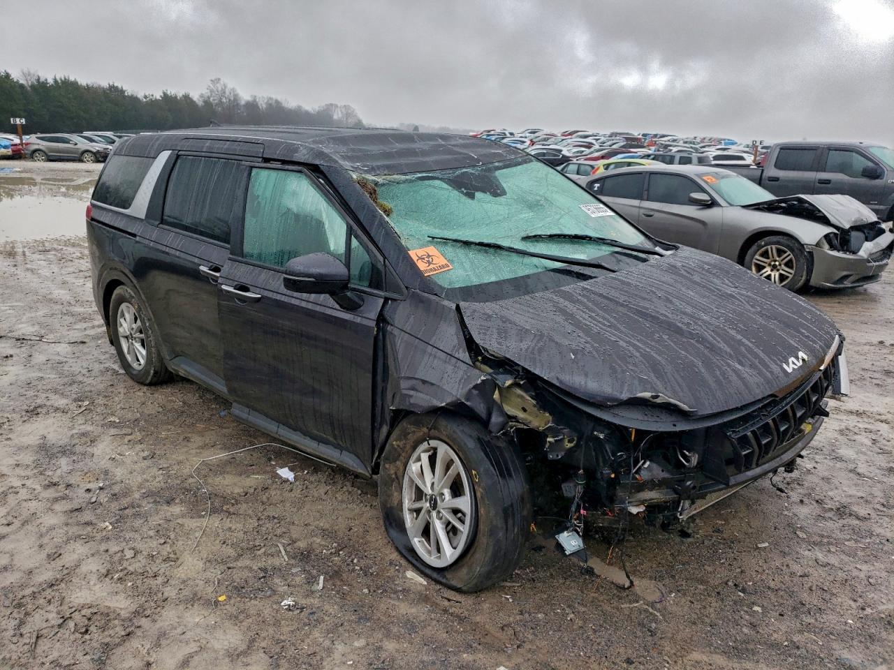 2024 KIA Carnival