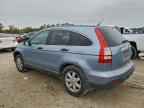 2009 HONDA CR-V