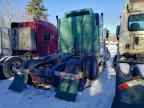 2013 PETERBILT 389