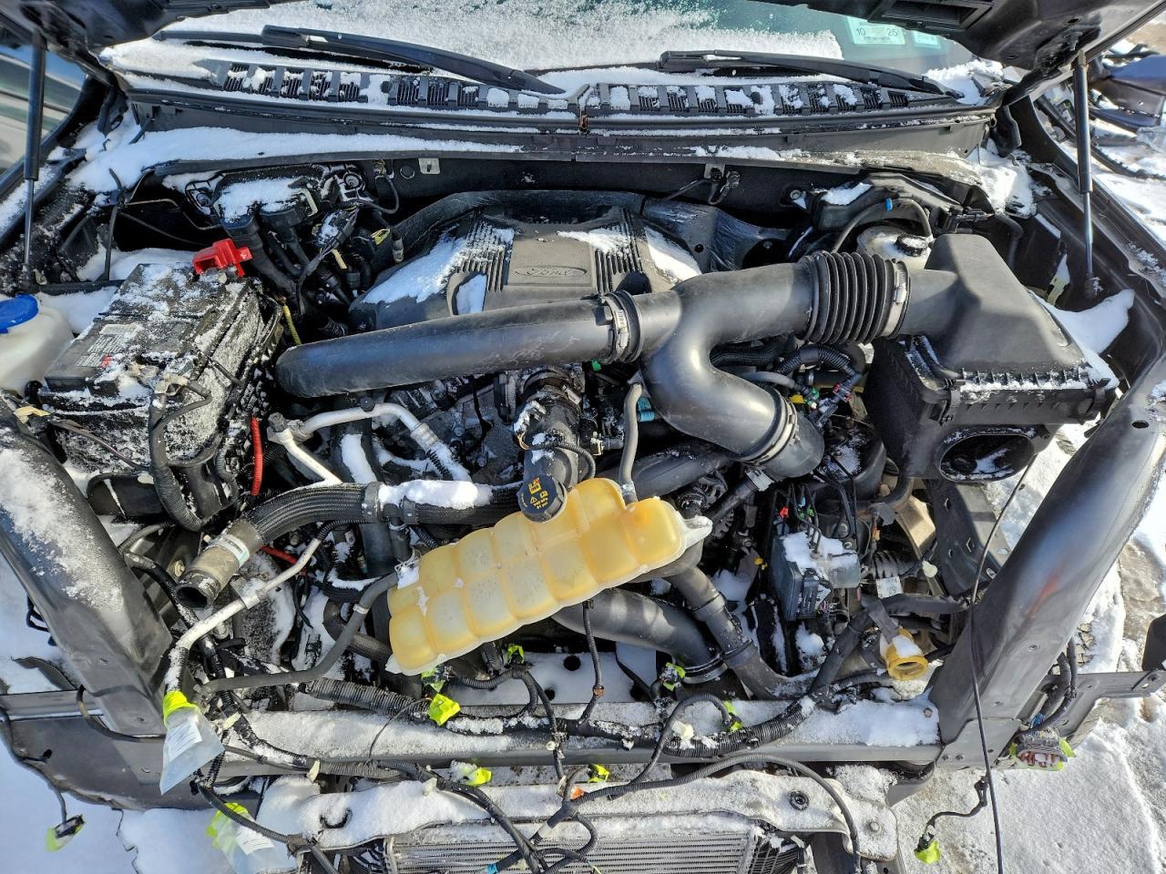 2019 FORD Expedition