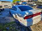 2014 DODGE CHARGER