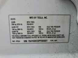 2023 TESLA MODEL Y
