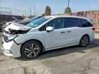 2023 HONDA ODYSSEY