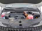 2026 KIA Carnival