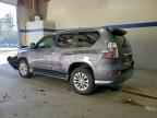 2019 LEXUS GX 460