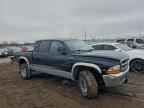 2000 DODGE Dakota
