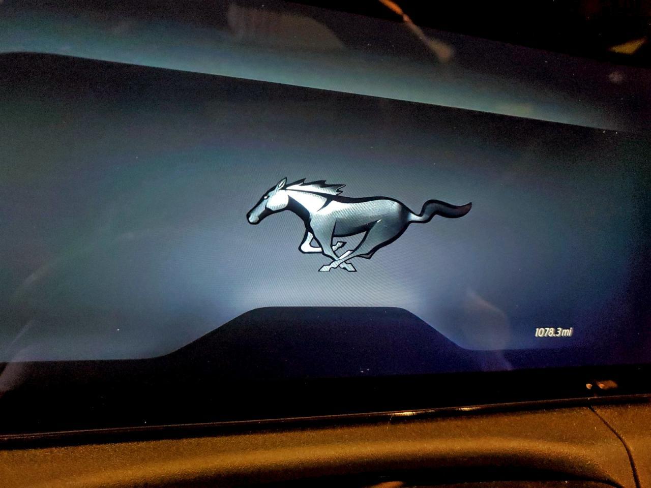 2026 FORD MUSTANG