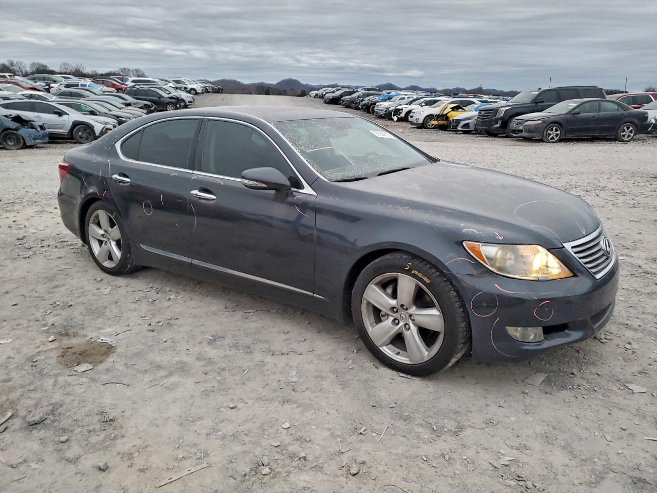 2010 LEXUS LS 460