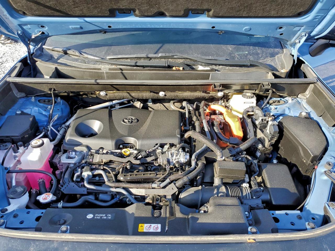 2024 TOYOTA RAV4