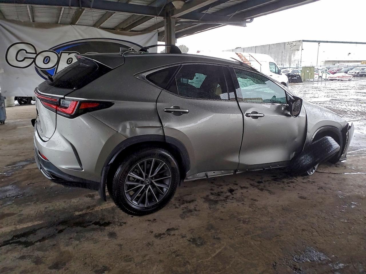 2024 LEXUS NX 250