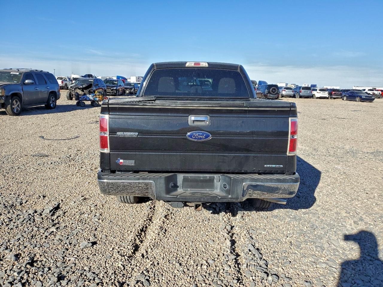 2013 FORD F-150