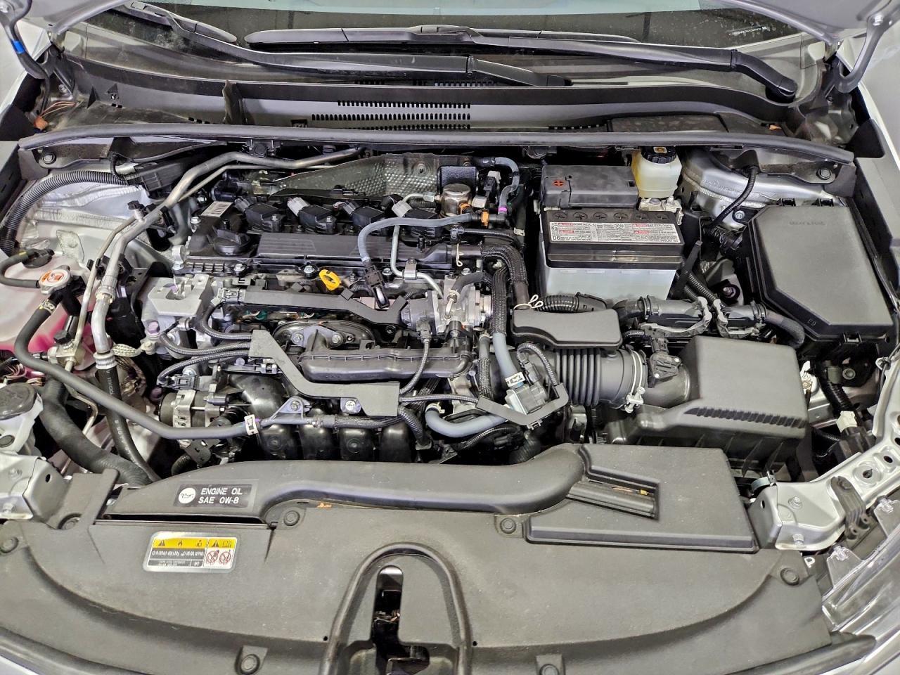 2025 TOYOTA COROLLA