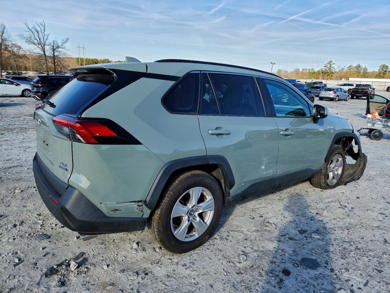 2019 TOYOTA RAV4