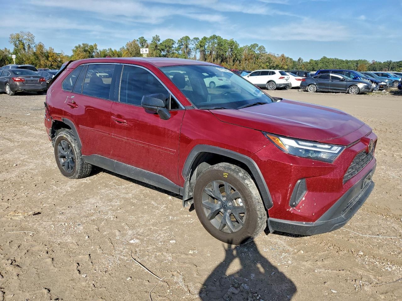 2024 TOYOTA RAV4
