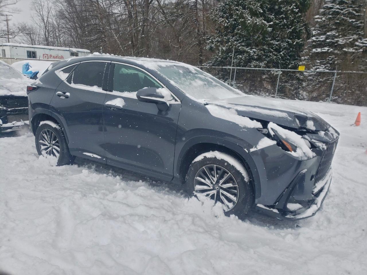 2024 LEXUS NX 350