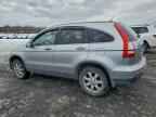 2007 HONDA CR-V