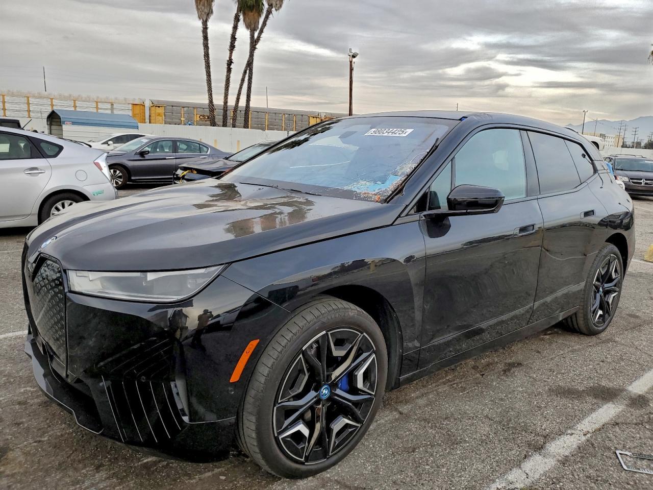 2024 BMW iX