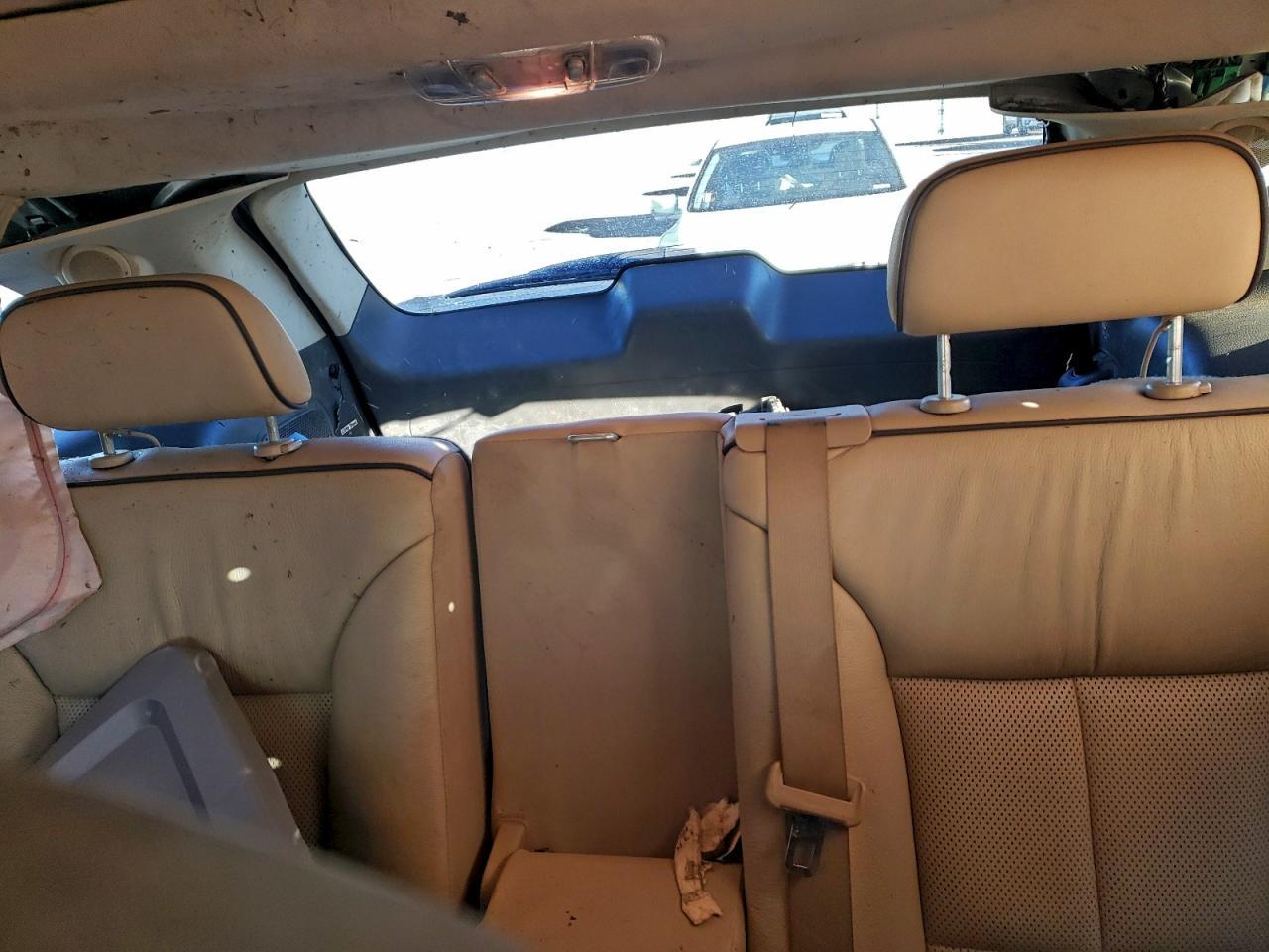 2010 LINCOLN MKX