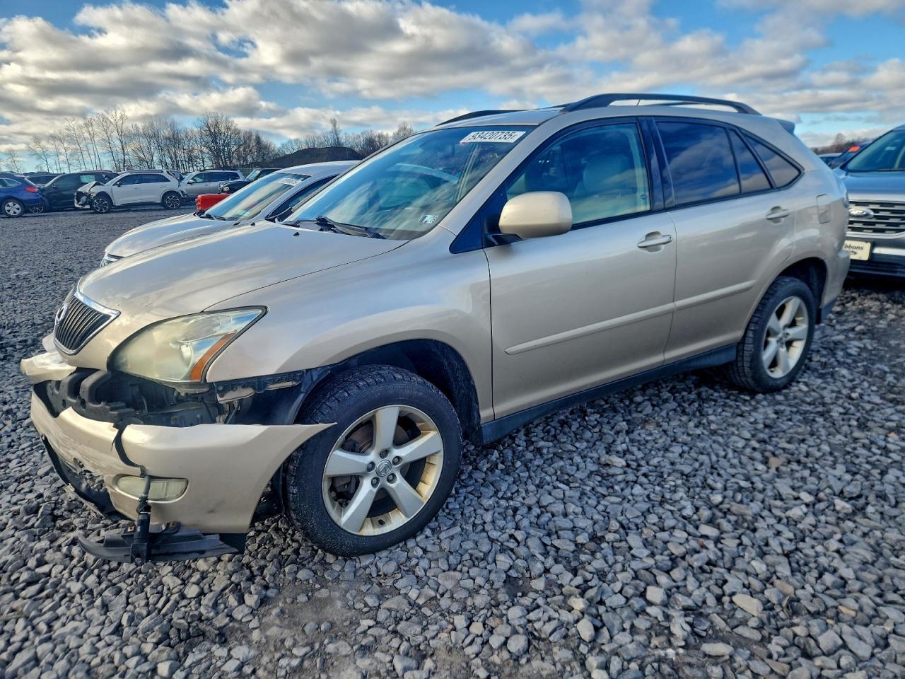 2004 LEXUS Rx 330