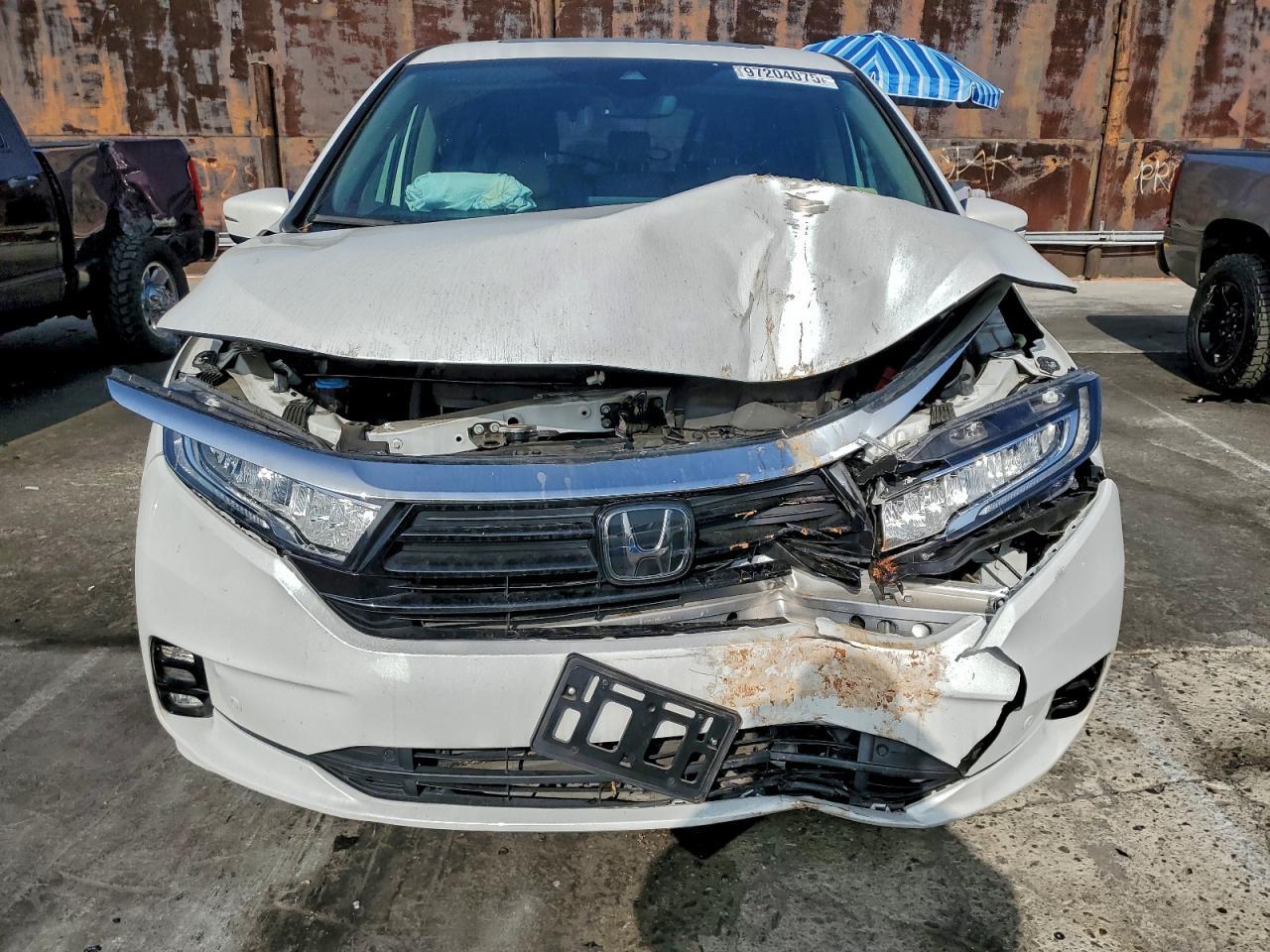 2023 HONDA ODYSSEY