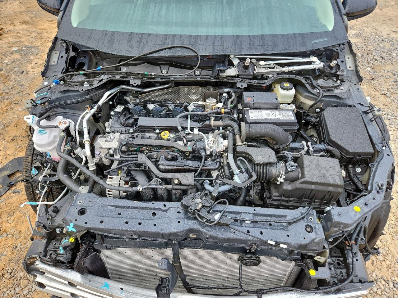 2026 TOYOTA COROLLA