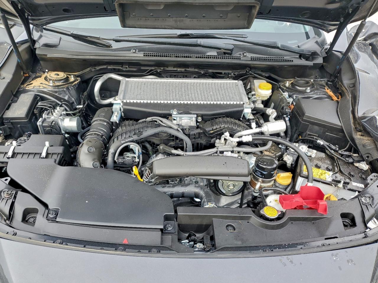 2025 SUBARU WRX