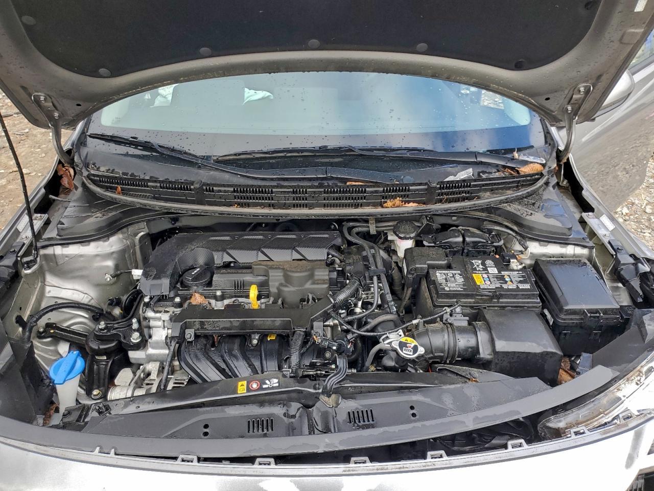 2023 KIA RIO