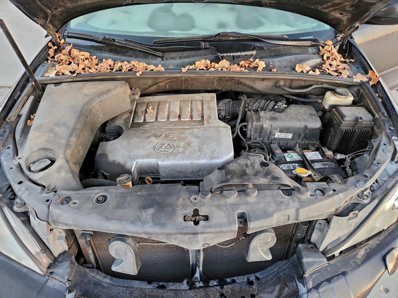2009 LEXUS RX 350