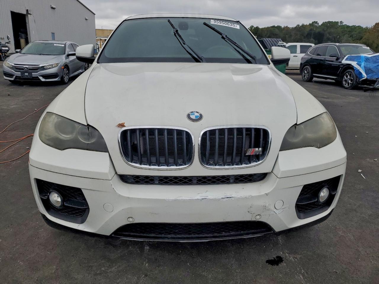 2010 BMW X6