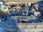 2024 FORD Maverick