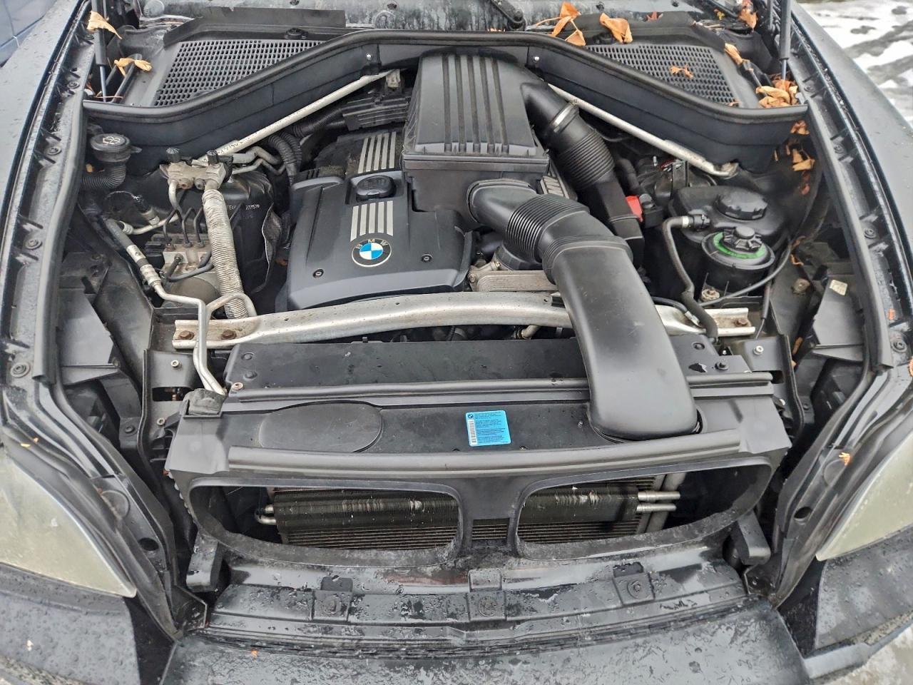 2010 BMW X5