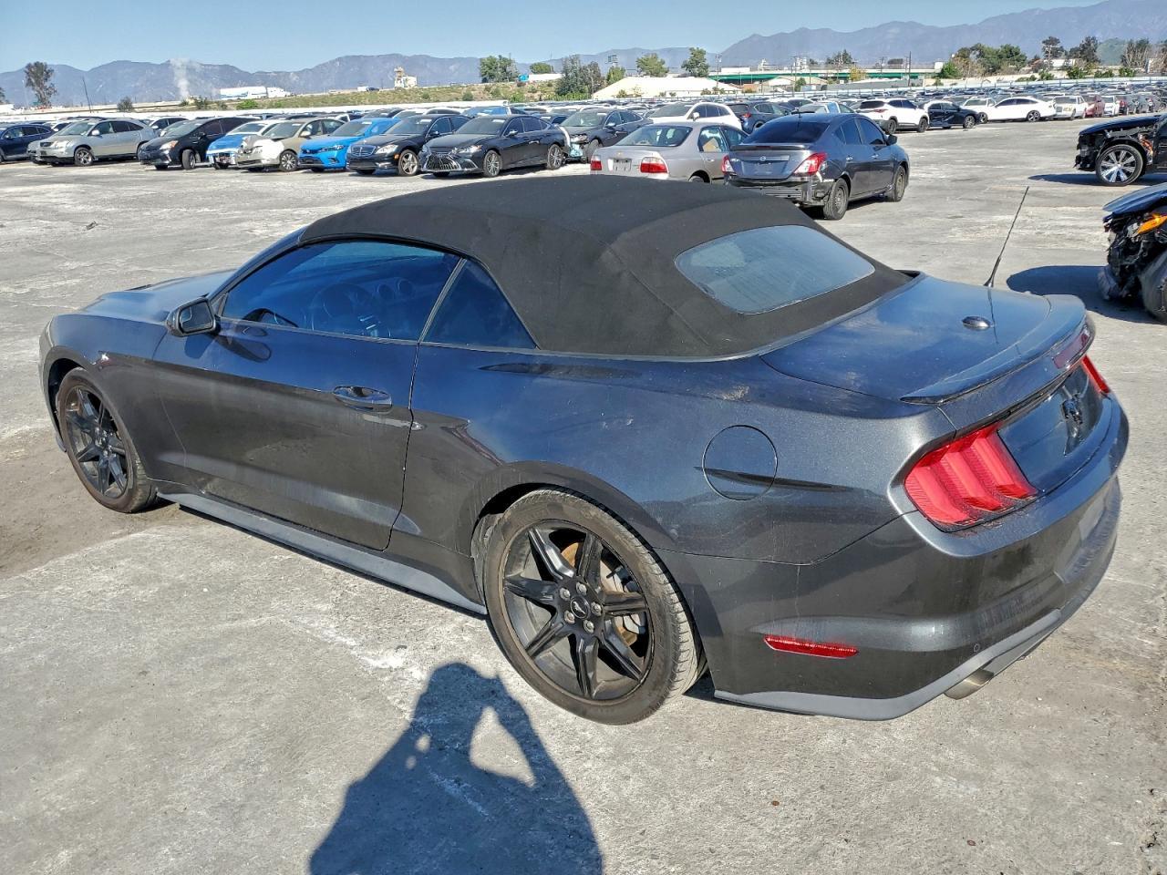 2019 FORD MUSTANG