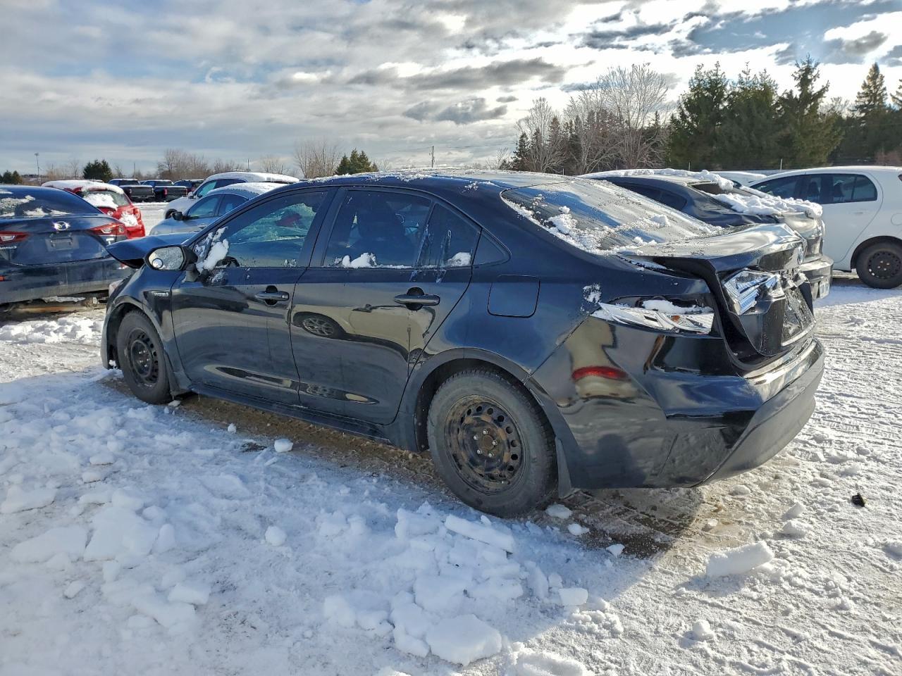 2021 TOYOTA COROLLA